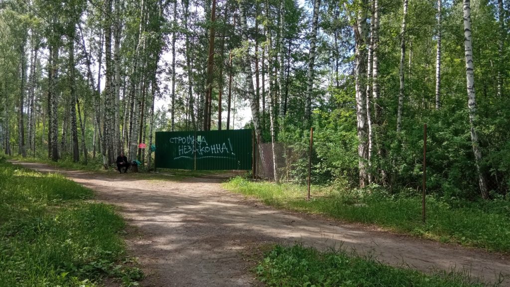 оставили голой в лесу